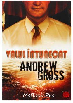 Valul întunecat de Andrew Gross citește top romane pdf 📖