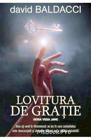 Lovitura de grație de David Baldacci descarcă top romane de aventură fantasy .Pdf 📖