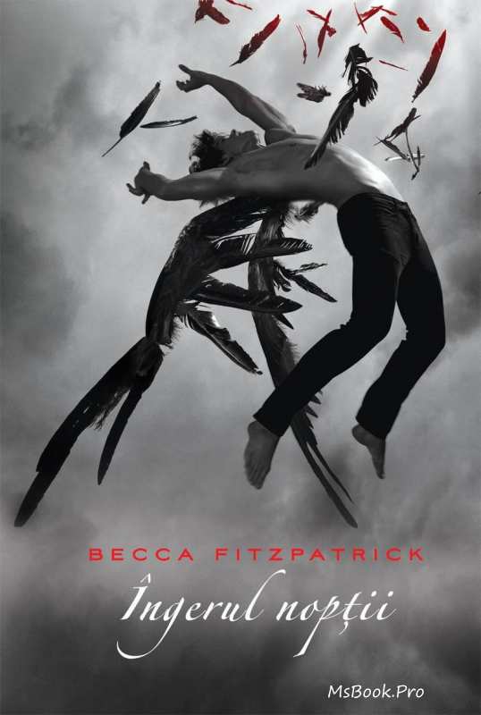 Îngerul nopții de Becca Fitzpatrick vol.1 citeste romane online gratis PDf 📖