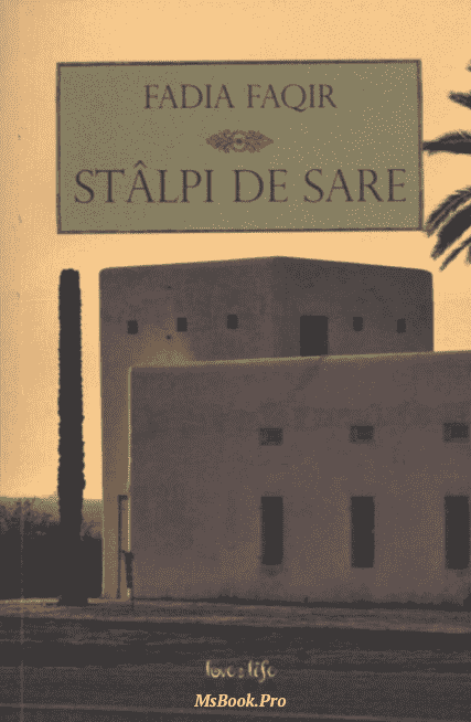 Stalpi de sare – Fadia Faqir. Pdf📚 top romane conteporane de citit gratis .PDF 📖