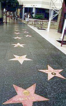 Stars on the sidewalk by Costachi S.E. citește gratis pdf 📖