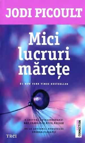 Mici Lucruri Mărețe de Jodi Picoult cărți citește top cele mai citite cărți  pdf 📖